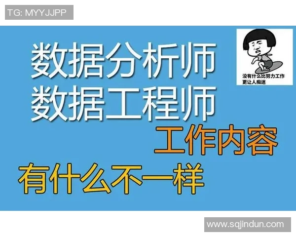 北京排球队个人能力分析与战术配合的深度探讨